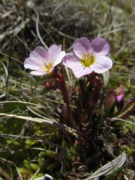 ��������, 13 ���� 2014