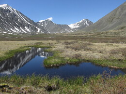 ��������, 13 ���� 2014