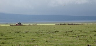 �������� � ����� ��������, ��������, 15 ���� 2014