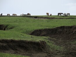 �������� � ����� ��������, ��������, 15 ���� 2014