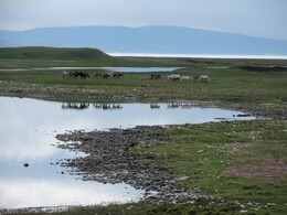 �������� � ����� ��������, ��������, 15 ���� 2014