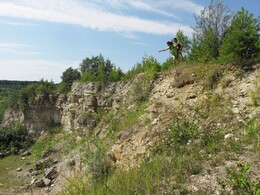 �����������, 26 ���� 2014