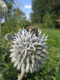 �����������, 26 ���� 2014