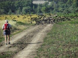 �����������, 26 ���� 2014