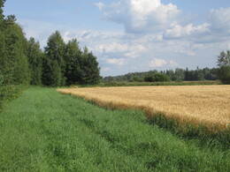 ���������, 9 ������� 2014