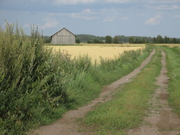 ���������, 9 ������� 2014