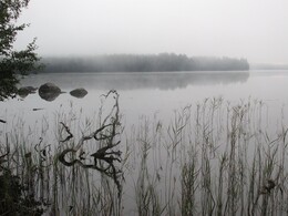 ���������, 10 ������� 2014