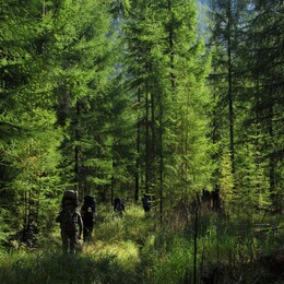 ������, 26 ������� 2014