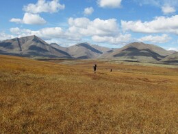 ������, 28 ������� 2014