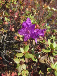 �����������, ������, 28 ������� 2014