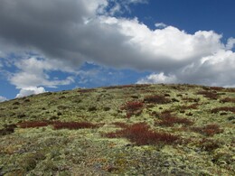 ������, 28 ������� 2014