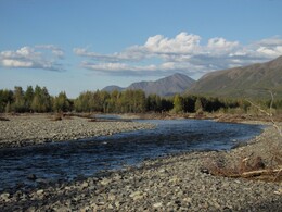 ������, 29 ������� 2014