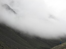 ������, 31 ������� 2014