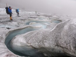 ������, 2 �������� 2014