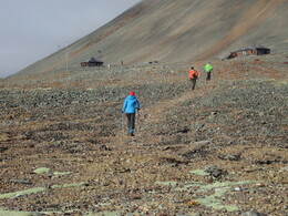 ������������ ������-�����, ������, 3 �������� 2014