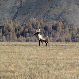 �������� �����, ������, 8 �������� 2014