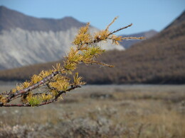 ������, 8 �������� 2014