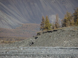 ������, 8 �������� 2014