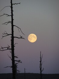 ������, 8 �������� 2014