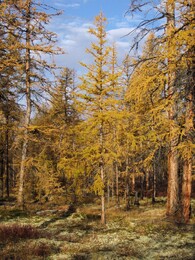 ������, 10 �������� 2014