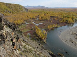 ���� �������, ������, 10 �������� 2014