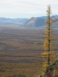 ������, 11 �������� 2014