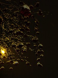 ���������, 22 ������ 2014