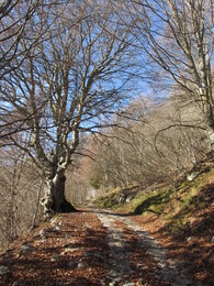 ������, ������, 23 ������ 2014