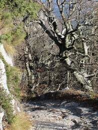 ������, ������, 23 ������ 2014