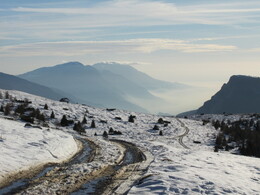 ������, ������, 23 ������ 2014