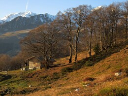 ������, ������, 23 ������ 2014