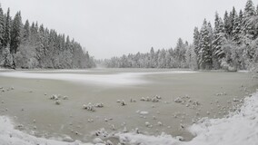 ���������, 13 ������� 2014