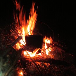 ���������, 13 ������� 2014