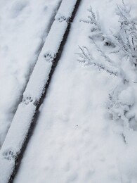 ���������, 14 ������� 2014