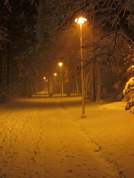 �������� � �����, ���������, 22 ������� 2014