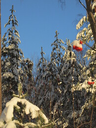 �����, ���������, 25 ������� 2014