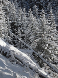 ���������, 18 ������ 2015