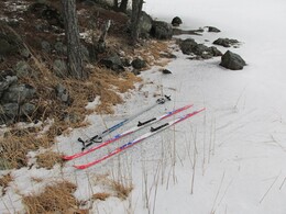 ���������, 31 ������ 2015