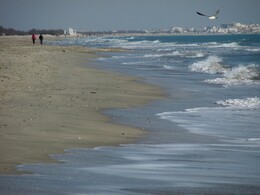 ��������, �������, 8 ������� 2015