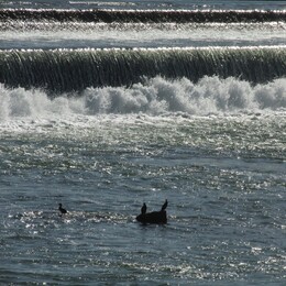 ������, �������, 9 ������� 2015