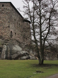 ����� ��������, ���������, 7 ����� 2015