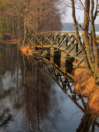 ���������, 8 ����� 2015