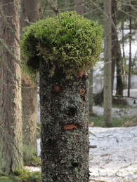 ���������� ��������, 5 ������ 2015