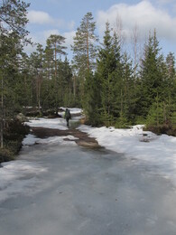 ���������� ��������, 5 ������ 2015