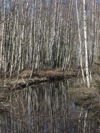 ���������, 11 ������ 2015