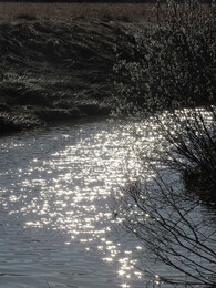 ���������, 11 ������ 2015