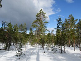 �������� ���������, 19 ������ 2015