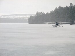 �������� ���������, 20 ������ 2015