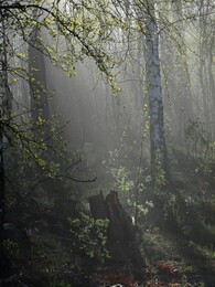 �����, ���������, 10 ��� 2015