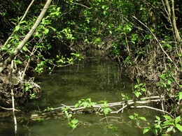 ���������, 14 ��� 2015